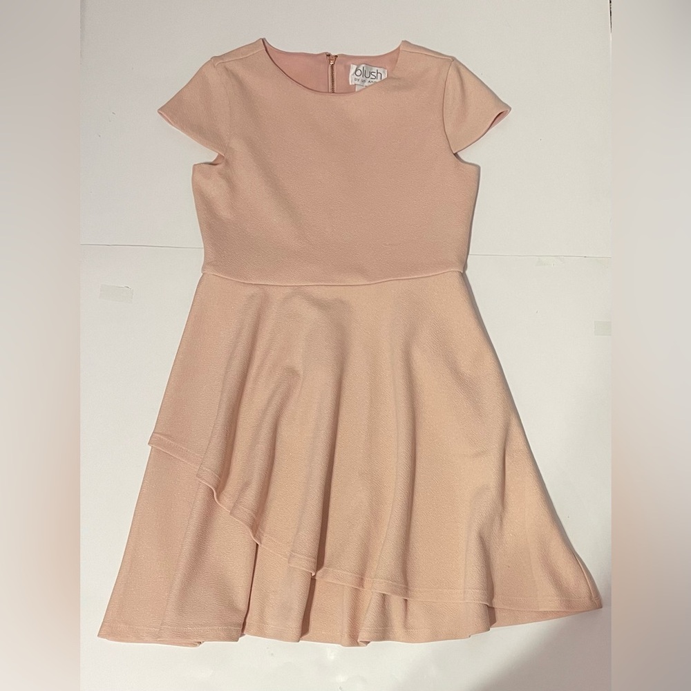 Blush Girls Dress Pink SZ Girls 12